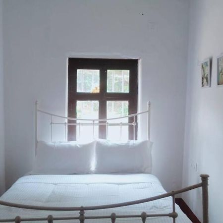 A Quaint Cottage With Rajah'S Seat View. Madikeri Extérieur photo