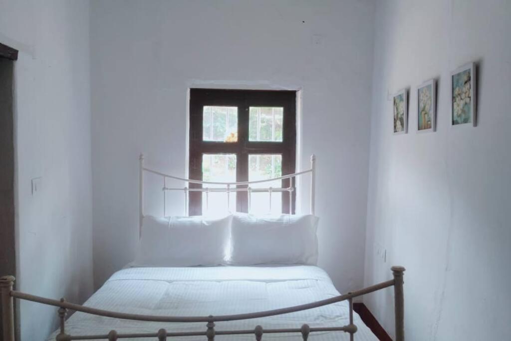 A Quaint Cottage With Rajah'S Seat View. Madikeri Extérieur photo