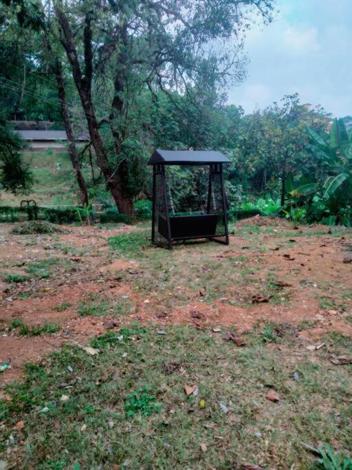 A Quaint Cottage With Rajah'S Seat View. Madikeri Extérieur photo